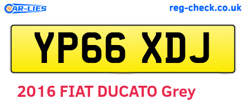 YP66XDJ are the vehicle registration plates.