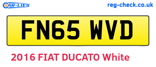 FN65WVD are the vehicle registration plates.