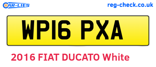 WP16PXA are the vehicle registration plates.