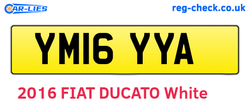 YM16YYA are the vehicle registration plates.