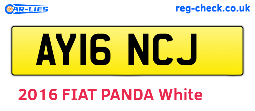 AY16NCJ are the vehicle registration plates.
