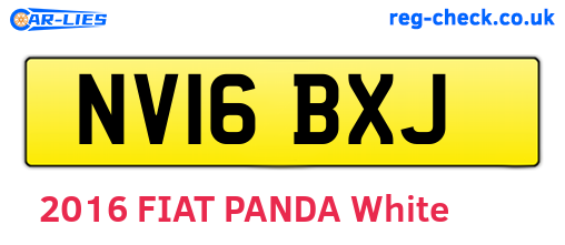 NV16BXJ are the vehicle registration plates.