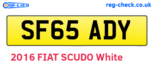 SF65ADY are the vehicle registration plates.