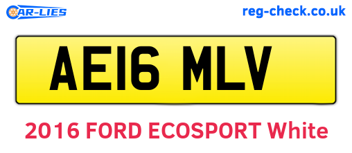 AE16MLV are the vehicle registration plates.