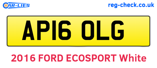 AP16OLG are the vehicle registration plates.