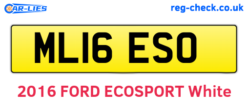 ML16ESO are the vehicle registration plates.
