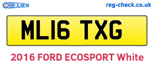 ML16TXG are the vehicle registration plates.