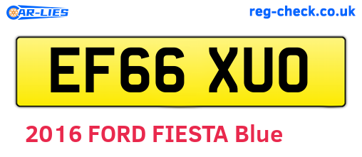 EF66XUO are the vehicle registration plates.