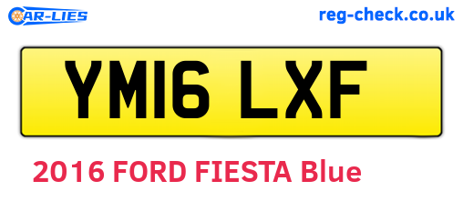 YM16LXF are the vehicle registration plates.