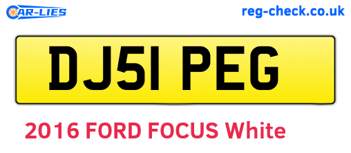 DJ51PEG are the vehicle registration plates.