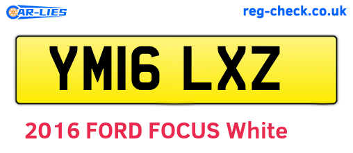 YM16LXZ are the vehicle registration plates.