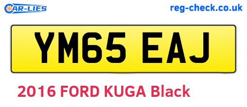 YM65EAJ are the vehicle registration plates.