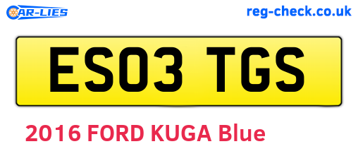 ES03TGS are the vehicle registration plates.