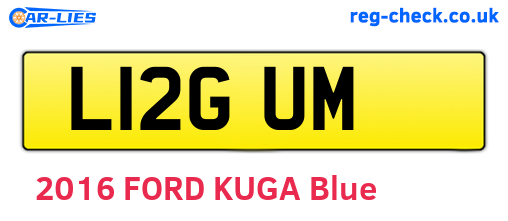 L12GUM are the vehicle registration plates.