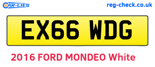 EX66WDG are the vehicle registration plates.