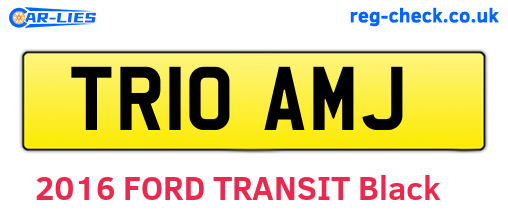 TR10AMJ are the vehicle registration plates.