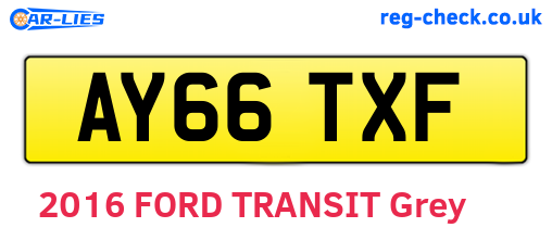 AY66TXF are the vehicle registration plates.