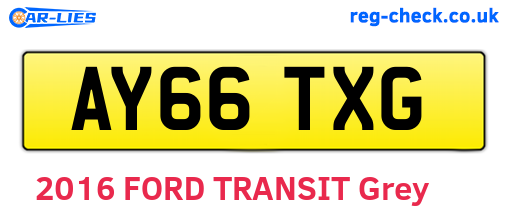 AY66TXG are the vehicle registration plates.