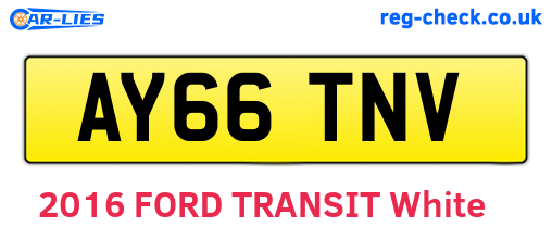AY66TNV are the vehicle registration plates.