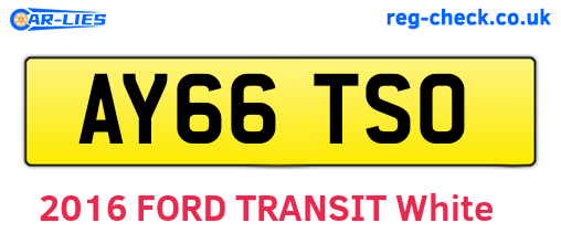 AY66TSO are the vehicle registration plates.