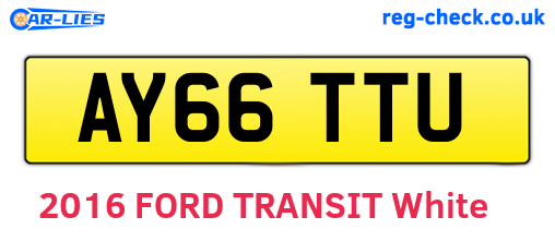 AY66TTU are the vehicle registration plates.