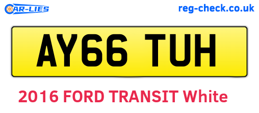 AY66TUH are the vehicle registration plates.