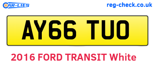 AY66TUO are the vehicle registration plates.