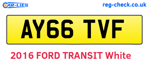 AY66TVF are the vehicle registration plates.