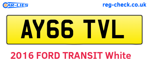 AY66TVL are the vehicle registration plates.