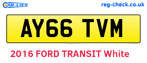AY66TVM are the vehicle registration plates.