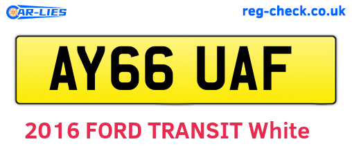 AY66UAF are the vehicle registration plates.