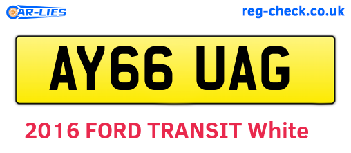 AY66UAG are the vehicle registration plates.