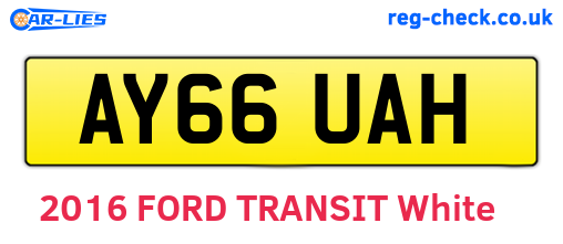 AY66UAH are the vehicle registration plates.