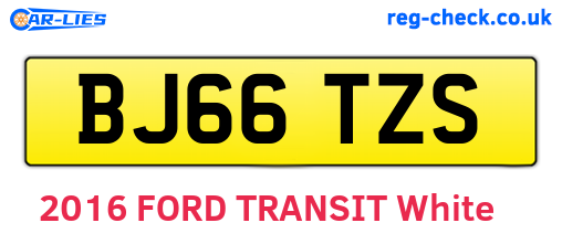 BJ66TZS are the vehicle registration plates.