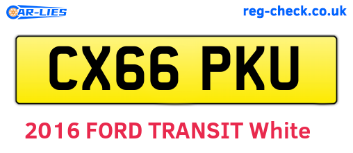 CX66PKU are the vehicle registration plates.