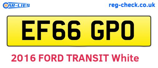 EF66GPO are the vehicle registration plates.