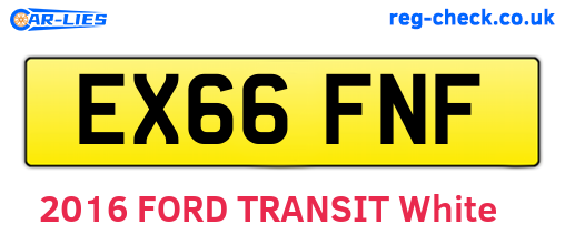EX66FNF are the vehicle registration plates.
