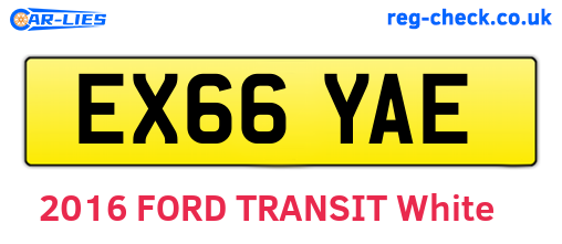EX66YAE are the vehicle registration plates.