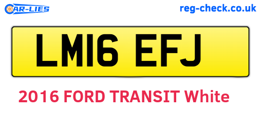 LM16EFJ are the vehicle registration plates.
