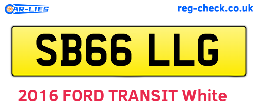 SB66LLG are the vehicle registration plates.