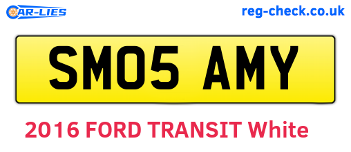 SM05AMY are the vehicle registration plates.