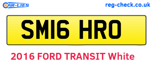 SM16HRO are the vehicle registration plates.