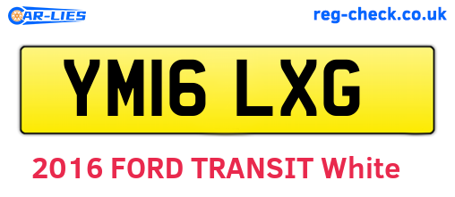 YM16LXG are the vehicle registration plates.