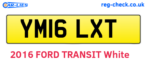 YM16LXT are the vehicle registration plates.