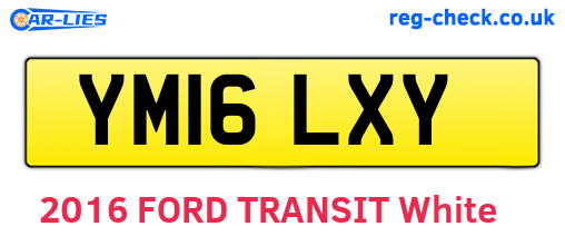 YM16LXY are the vehicle registration plates.