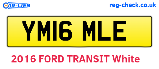 YM16MLE are the vehicle registration plates.
