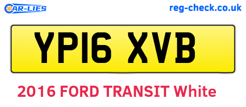 YP16XVB are the vehicle registration plates.
