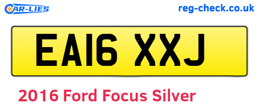 Silver 2016 Ford Focus (EA16XXJ)