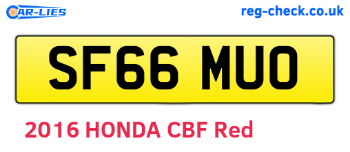 SF66MUO are the vehicle registration plates.