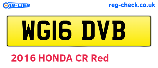 WG16DVB are the vehicle registration plates.